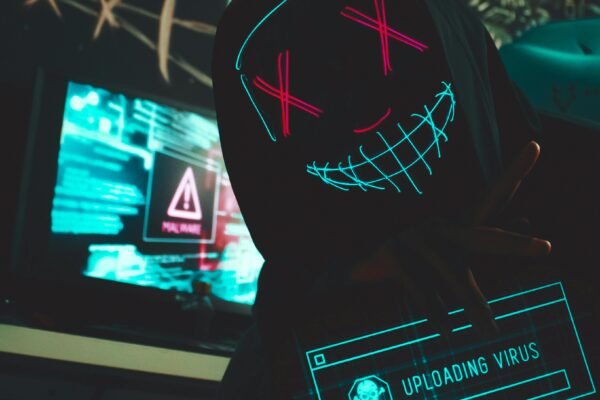 pexels lucasandrade 14019734